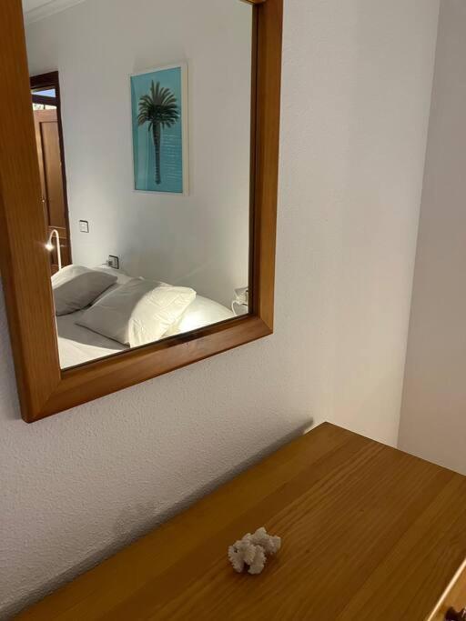 Cozy Leilighet Santa Cruz de Tenerife Eksteriør bilde